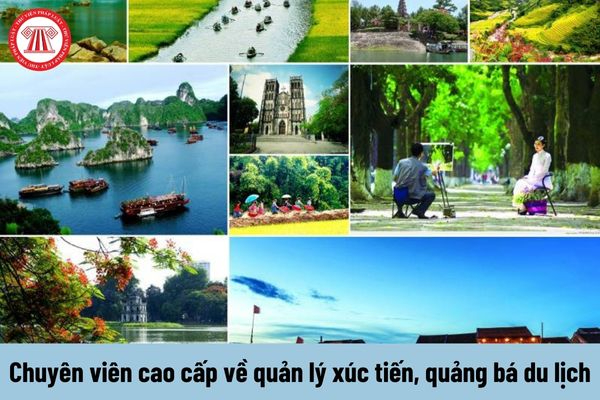 Chính sách đại lý của Hotspot Matrix: Cơ hội hợp tác bền vững trong ngành video ngắn